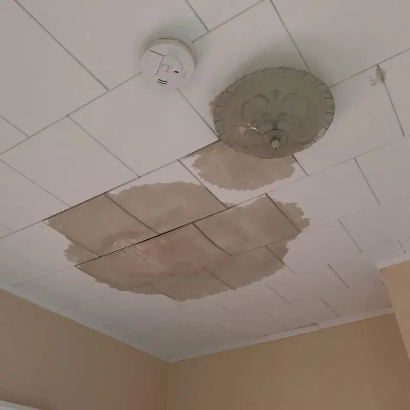 Ceiling Water Damage Repair in New Castle, IN