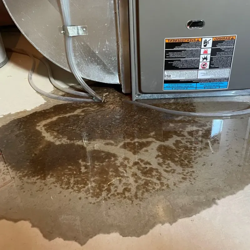 Pipe Burst and Leak Restoration in New Castle, IN