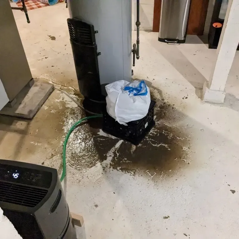 Sewage Backup Cleanup Service in New Castle, IN